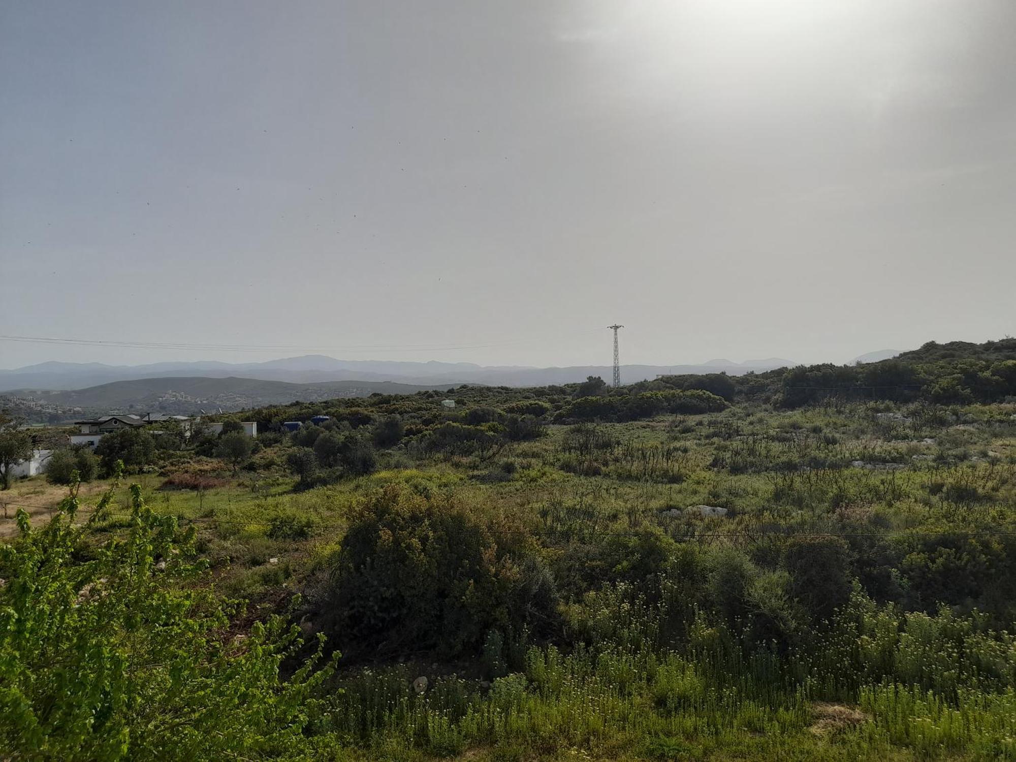 Huzur Hotel Siğacık Bagian luar foto